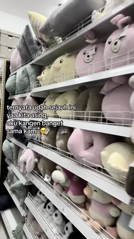 kembali dongg