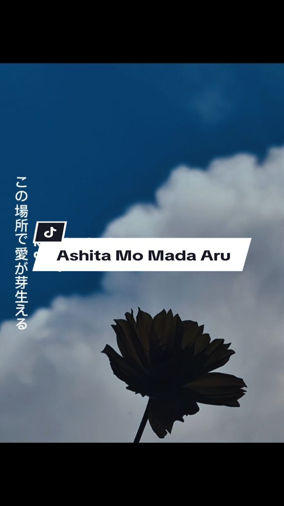 44 | Ashita Mo Mada Aru #capcut #templatecapcut #lyrics #japanesesong #esokmasihada #ashitamomadaaru #amsyarleee #viral #fyp 