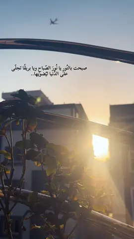 #explore #اكسبلور #جدة #viral #abdu #jeddah #صباح_الخير #fyp #foryou #جده #محمد_عبده 