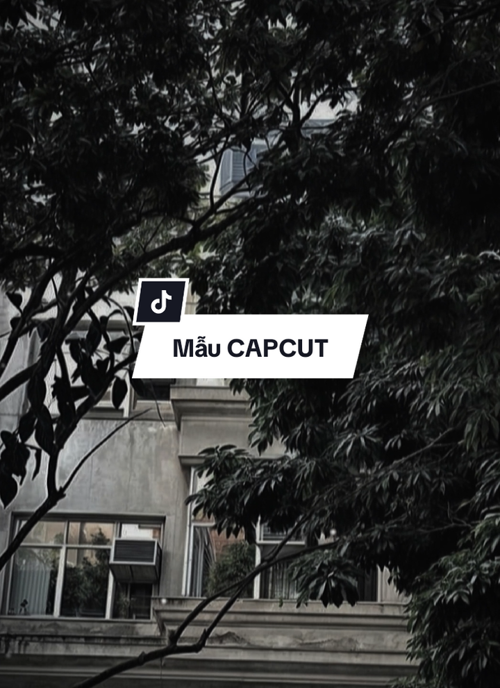 Mẫu sẵn đoạn đầu  Chỉ có gầy như tao là ko cài đc #capcutmaster #edit #nhachaymoingay #xuhuong #CapCut 