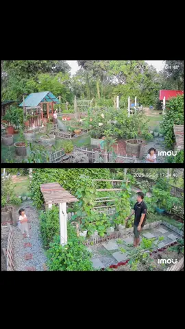 ติดกล้องวงจรปิดตัวเดียวแต่ดูได้ทั่วทั้งสวนเลย 🧡 #IMOU #กล้องวงจรปิด #กล้องวงจรปิดหมุนได้ 