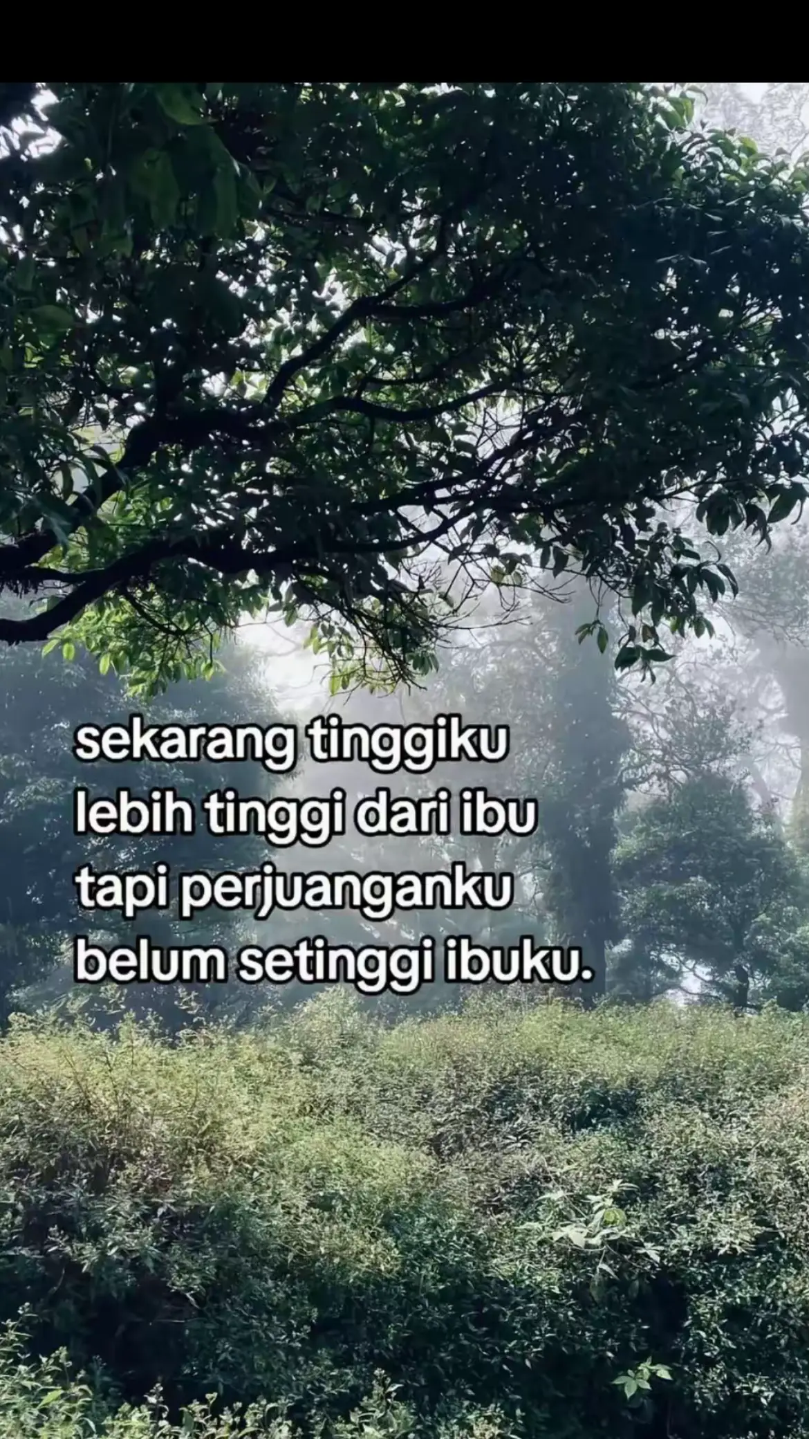 #fyp #anggar2009 #anggar 