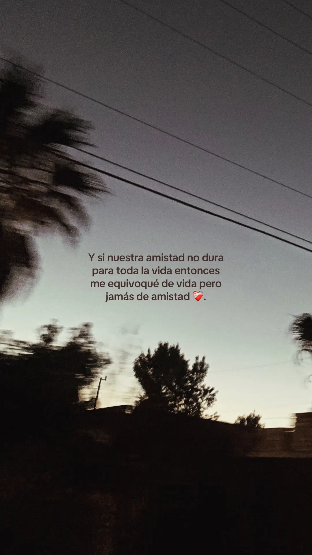 #fyp #zyxcba #video_viral #amistad #personaespecial #mejoramigo 