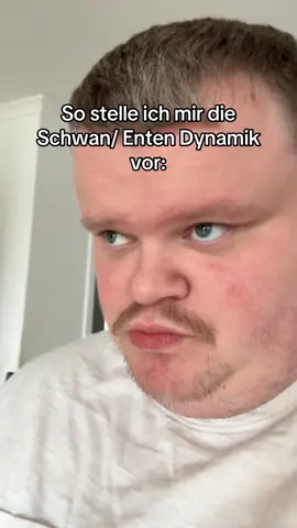 Ich weiß, dass die Dinger arrogant sind! #foryou #fürdich #enten #schwarn 