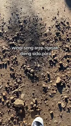 ndang satset#sikunir#diengplateau#fypage#wonosobo24jam 