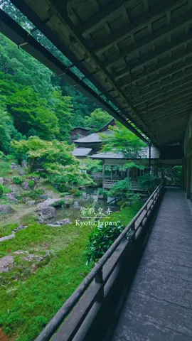 🌿苔と新緑に包まれる、山里の静寂 A hidden sanctuary of fresh greenery and moss-covered serenity. 📍京都府【常照皇寺】/ 🇯🇵Jōshōkōji Temple, Kyoto 京北の山あいに静かにたたずむ常照皇寺は、後水尾天皇ゆかりの門跡寺として知られる名刹。 春の終わりから初夏にかけて、境内は新緑と苔が織りなす静寂の世界に包まれます。 楓の若葉が陽光に透け、苔の絨毯が足元を彩る季節。 長谷川等伯ゆかりの庭園や歴史ある本堂に、自然と人の調和が静かに息づいています。 観光地化されていないこの寺は、訪れる人も少なく、ただ「緑の中に身を置く」ことの豊かさを教えてくれます。 🕰参拝時間：9:00～16:00（目安・季節により変動あり） 💰拝観料：500円 Nestled in the quiet mountains of Keihoku, Jōshōkōji is a former imperial temple with deep historical and spiritual roots. From late spring to early summer, the grounds come alive with vibrant green maple leaves and soft carpets of moss. This peaceful temple—far from the crowds—is where sunlight filters through fresh foliage, and silence feels sacred. Whether you’re walking the moss-lined paths or simply sitting in stillness, Jōshōkōji offers a quiet moment of inner renewal. 🕰Opening Hours: ~9:00 AM – 4:00 PM (may vary by season) 💰Admission: 500 yen 🎥Reel → @reo___film 📸LUMIX S5Ⅱ / LUMIX S1RⅡ #常照皇寺 #京都 #japanesetemple  #kyoto 