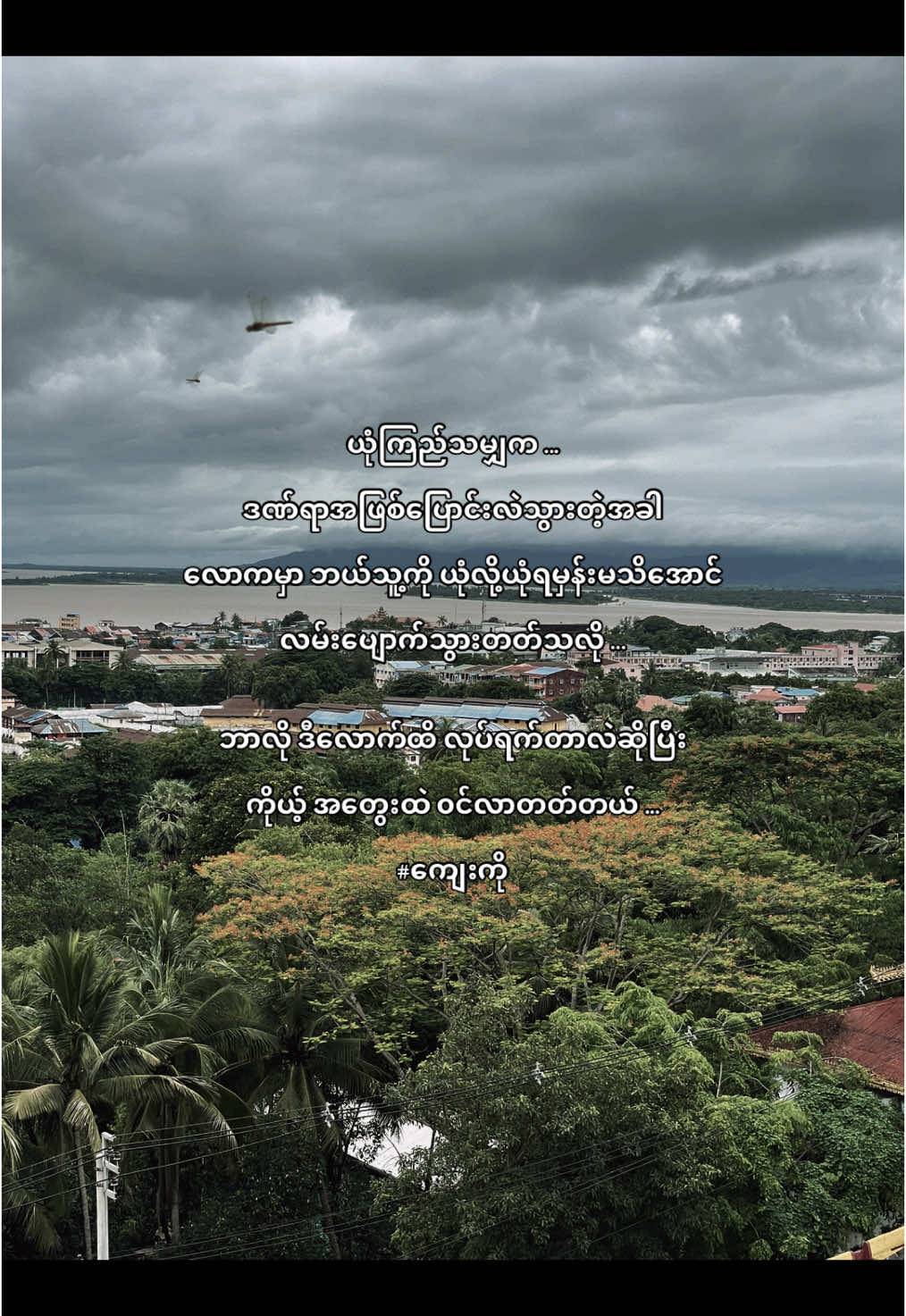 🗣️#foryou #foryoupage #fyp #ကျေးကို #fyppppppppppppppppppppppp 