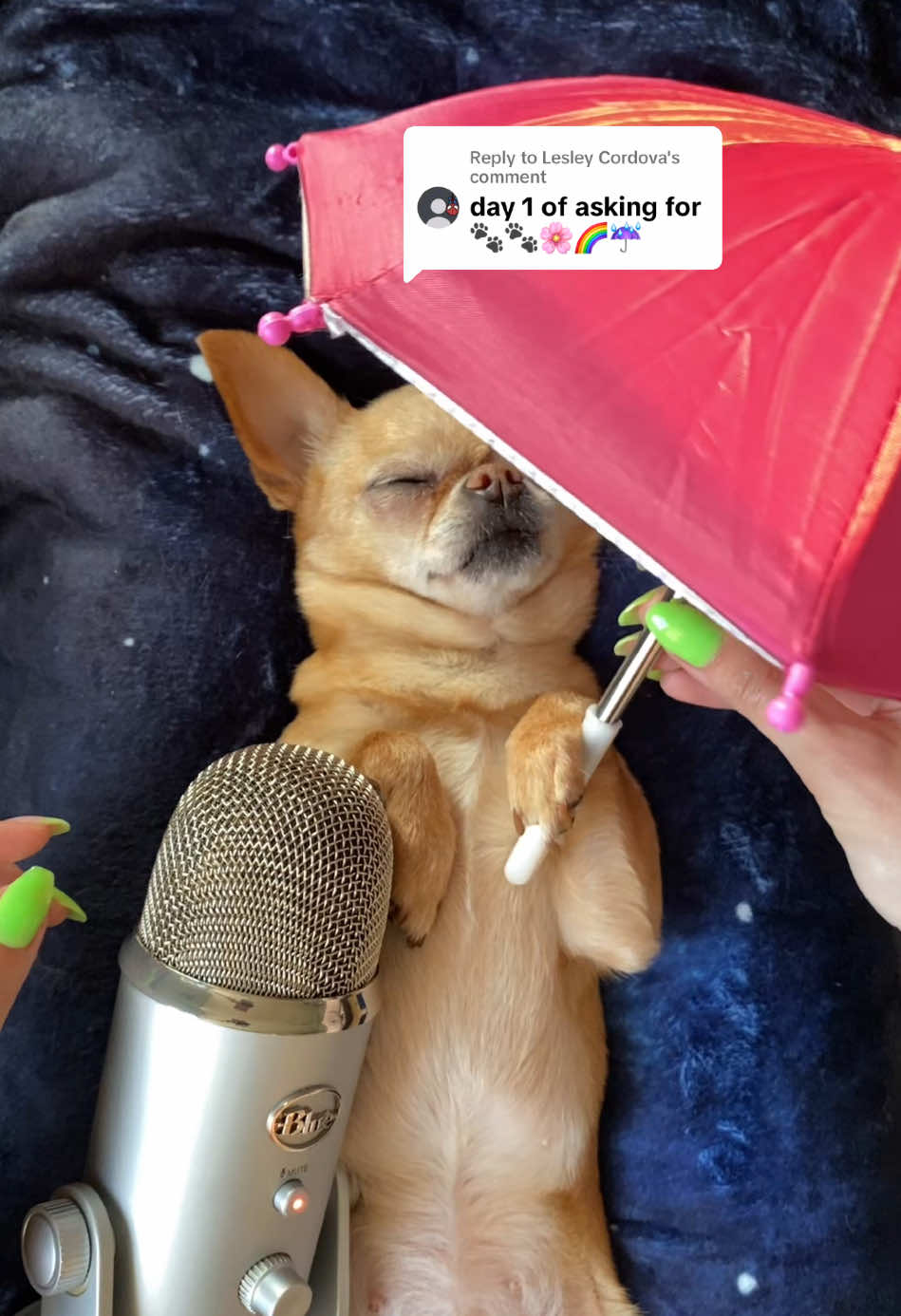 Replying to @Lesley Cordova #asmr #relaxing #foru #fu #for #sounds 