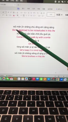 #chinesesong #chineseteacher #chinese #studychinese #chinesebook #chinesetutor #learnchinesewithnili #foryoupage #fyp 