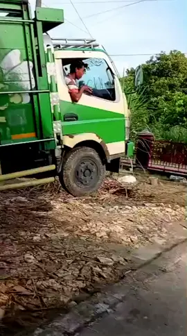 truk ngetril sopire kejaduk