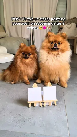 Qui a fait la plus belle peinture ?🥹🩷 #pomeranian #spitz #maison #construction #peinture #dog #drole #foryou 