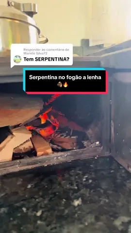 Respondendo a @Mariele Silva72 vale a pena ter serpentina no #fogaoalenha ?