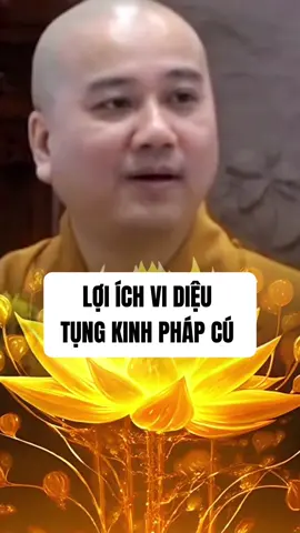 Lợi ích vi diệu tụng Kinh Pháp Cú. Những lời dạy ngắn gọn, sâu sắc từ Kinh Pháp Cú giúp soi sáng tâm hồn, hướng con người đến sự tỉnh thức, an lạc và từ bi. #phatphapnhiemmau #kinhphapcu #kinhphapcumini #kinhphat #tungkinh #thichphaphoa #dockinh #tutap #nguyennguoiann 