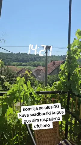 komsija na plus 40 kuva svadbarski kupus gus dim raspaljeno ufuljeno | #fyp #kucipozdravifanove #jakcur #jakdim #jakrad