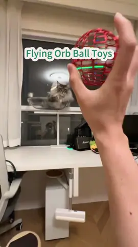 **🐾🌀 Spinning Fun Just Got Suspended!**  Keep your cat entertained for hours with this **Suspended Spinning Ball Toy** – the purr-fect way to trigger their hunting instincts!  ✨ **Why Cats Love It:**  ✔️ **360° Spinning Action** – Endless pounce-worthy movement  ✔️ **Sturdy & Safe** – Durable materials withstand even the wildest attacks  ✔️ **Easy to Install** – Hang anywhere for instant playtime  #CatToys #InteractivePlay #HappyKitty  💬 **Tag a cat parent who needs this!**  👇 **Swipe to see the fun in action!**  **P.S.** That *”Must... catch... the spinny thing!”* face? **Priceless.** 😼💫  —  **🛒 LINK IN BIO – Get yours today!**  *(Warning: May cause midnight zoomies.)* 🌙⚡