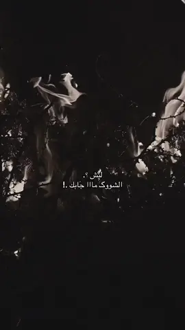#fyp #g #مالي_خلق_احط_هاشتاقات #a #فبراير #محمدعبدالجبار 