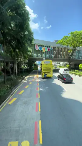 #singapore  #discoversingapore  #visitsingapore  #travelsingapore 
