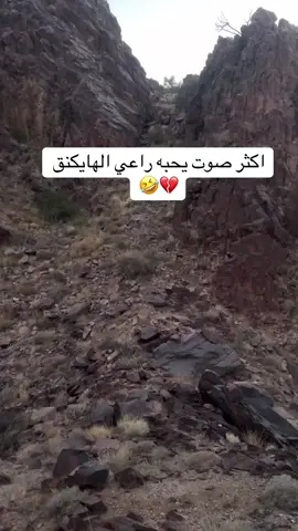 دقيقة بتصور معاك 🤣 #قهد #وبران #وبر #محمية #صيد #حجل #اكسبلورexplore 
