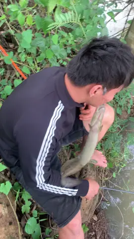 Nó tức Á trời 😂.#fishing 