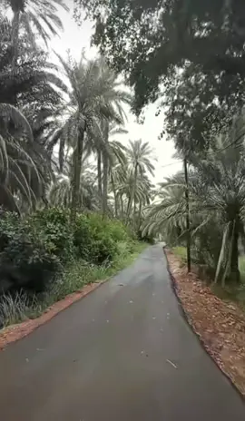 قران الكريم 📻📖📚#ذكرفأن_الذكر_ينفع_المؤمنين 