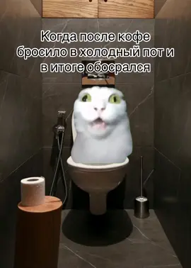 #fyp 