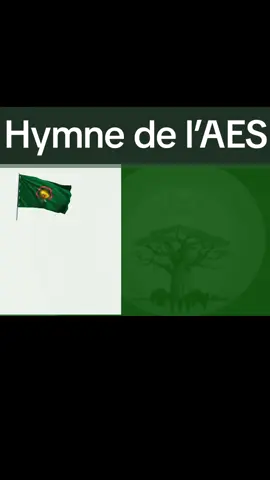 #malitiktok🇲🇱 #niger #burkina #aes 