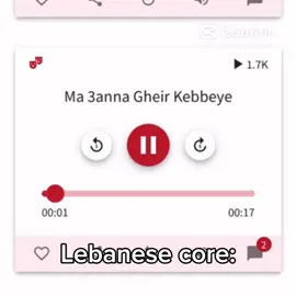 #CapCut lebanese core>>> #lebanese #lebanesetiktok #lebanesecore #fyp #viral 