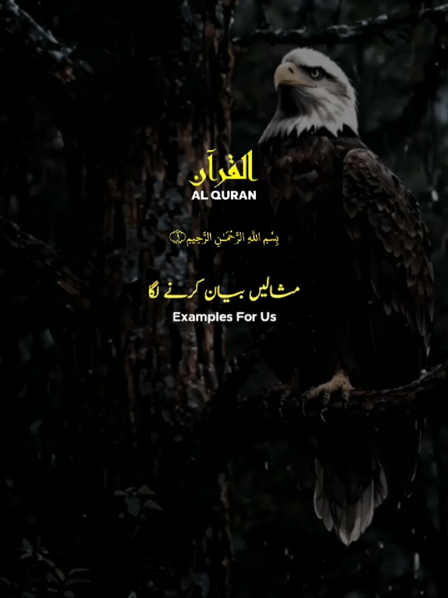SURAH AL YASEEN, VERSES: 78-81 SURAH AL, JASIYA, VERSES: 24-26❤✨ #quran_recitation_143 #nasheed #peace #sound #reactionvideo 