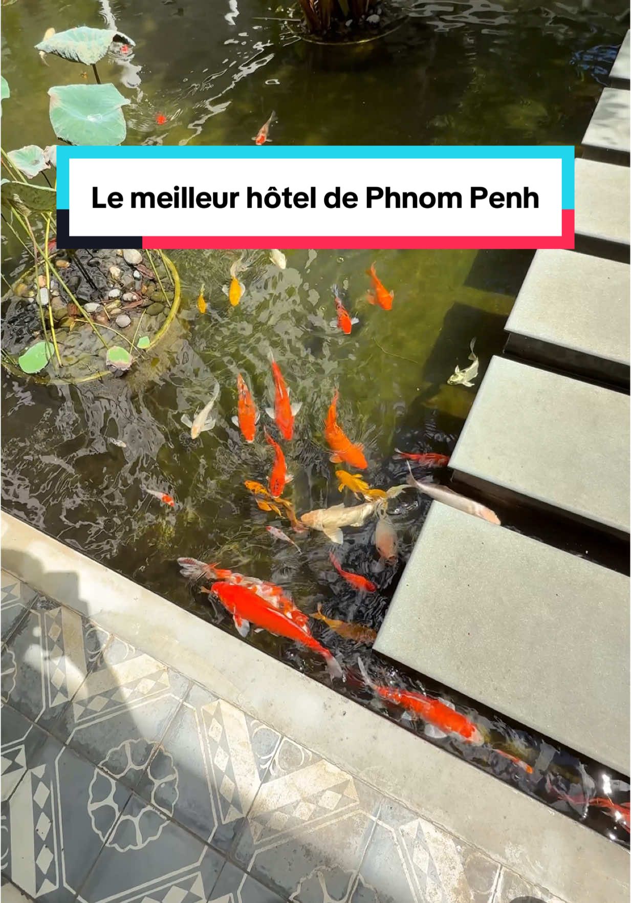 On dirait qu’on est dans la jungle  📍 Plantation Urban Resort & Spa #hotel #recommandation #travel #cambodia #cambodge 