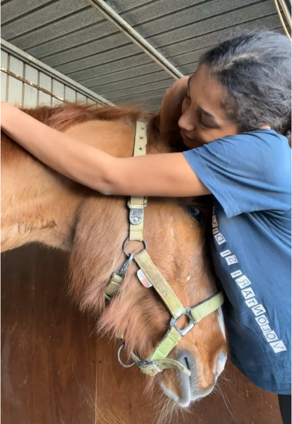 x sempre il mio amore più grande💚.                                     #cavallo #horse 