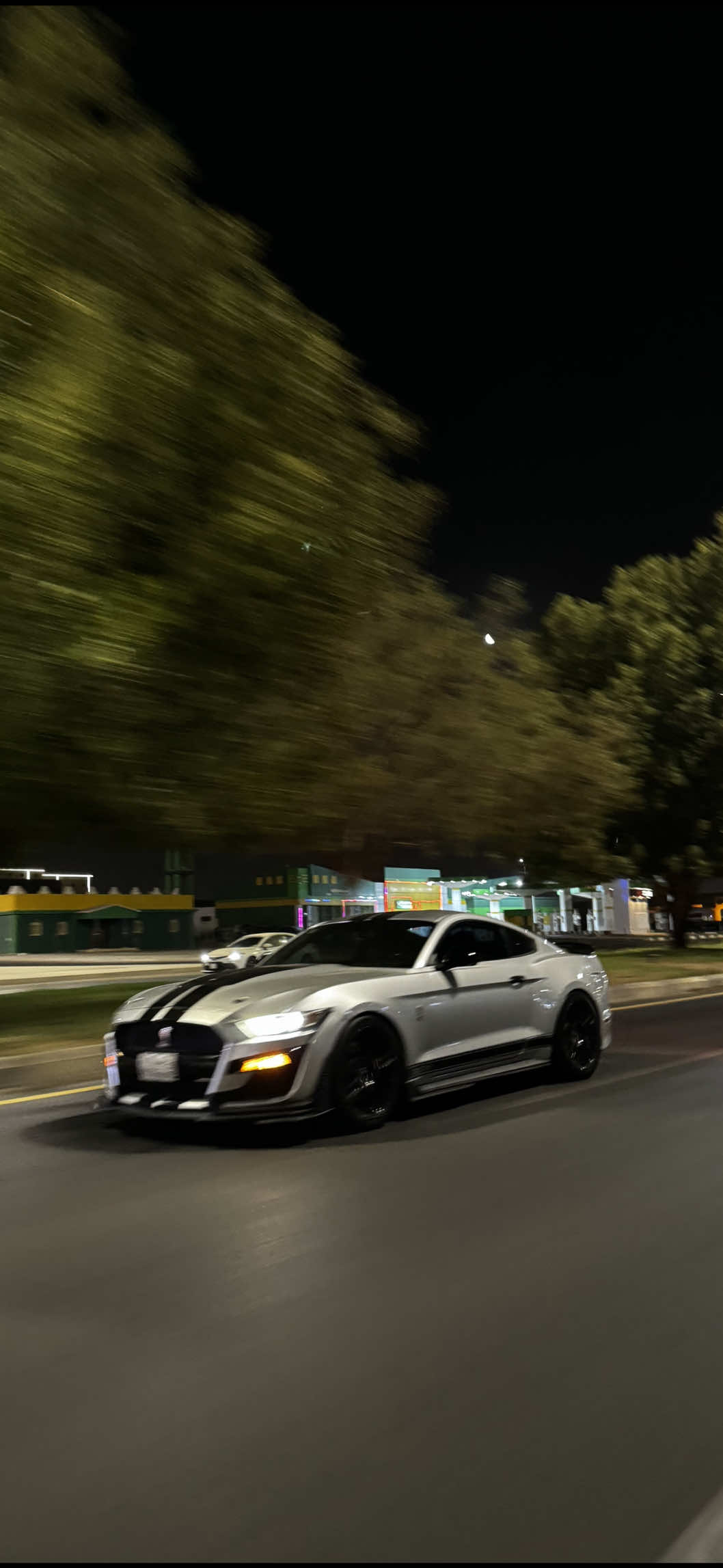 #fyp #explore #viral #mustang #tabuk 