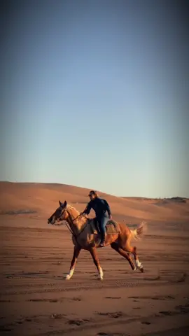 #ولمهره_بتعرف_خياله❤️‍🔥😉 #🐎 