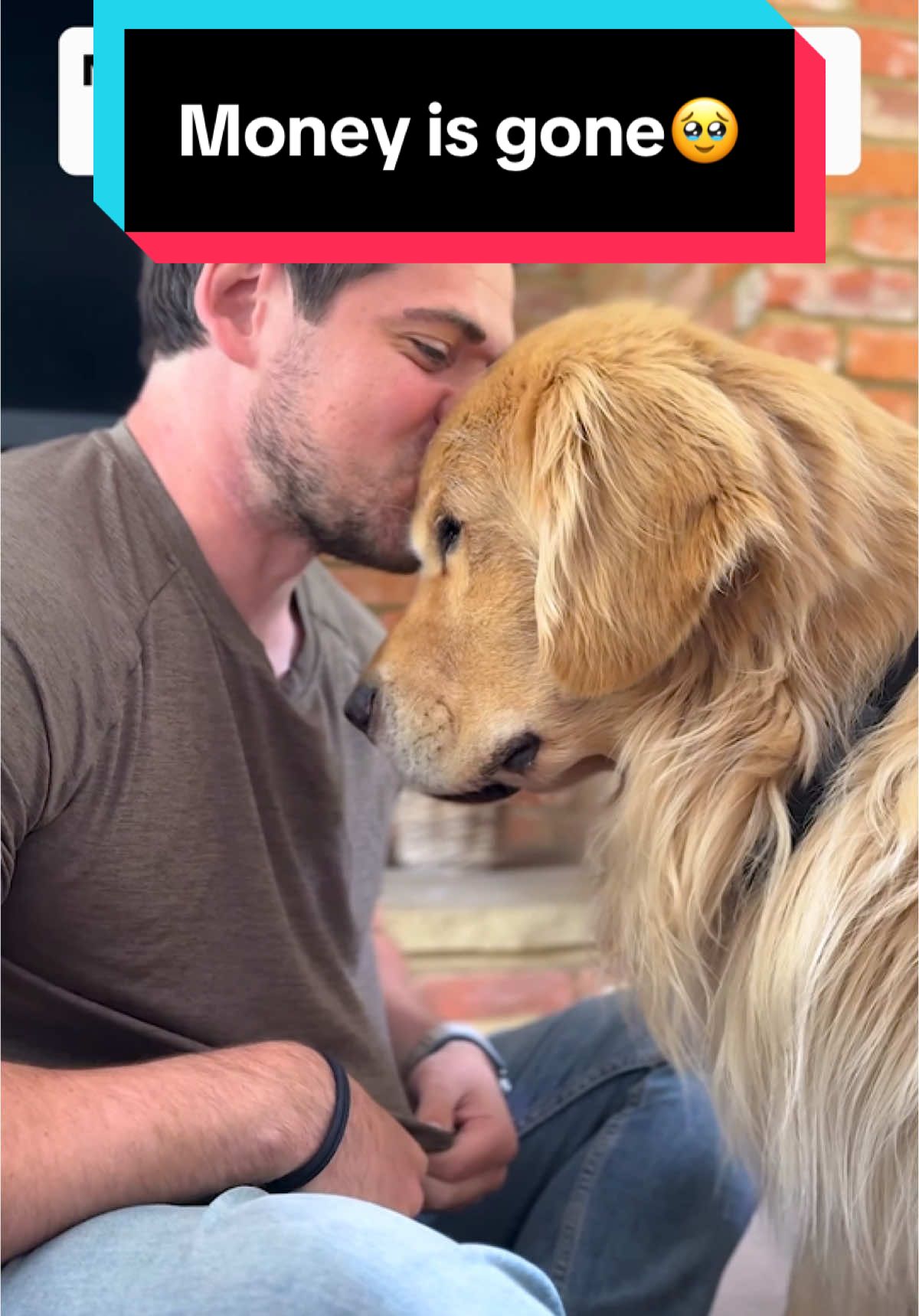 He deserves it all😍We can save for a house next month...🥹 #goldenretriever #mansbestfriend