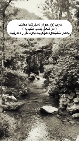 عه رب زؤر جوان ده ليت#foryou #iraq_bd #erbil #folome #actives?🥺💔 