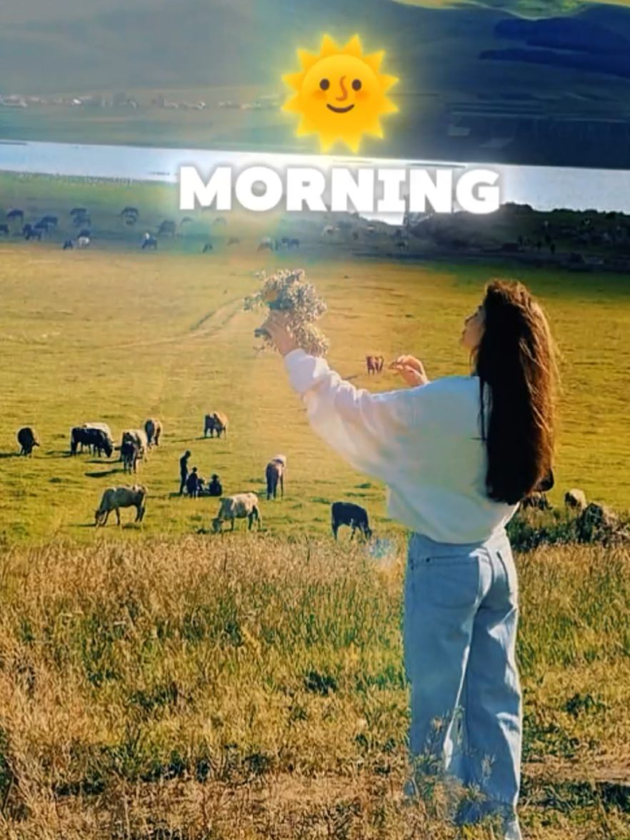 Good Morning Everyone #message #reminder #qoutes #inspirational #greetings #CapCut 