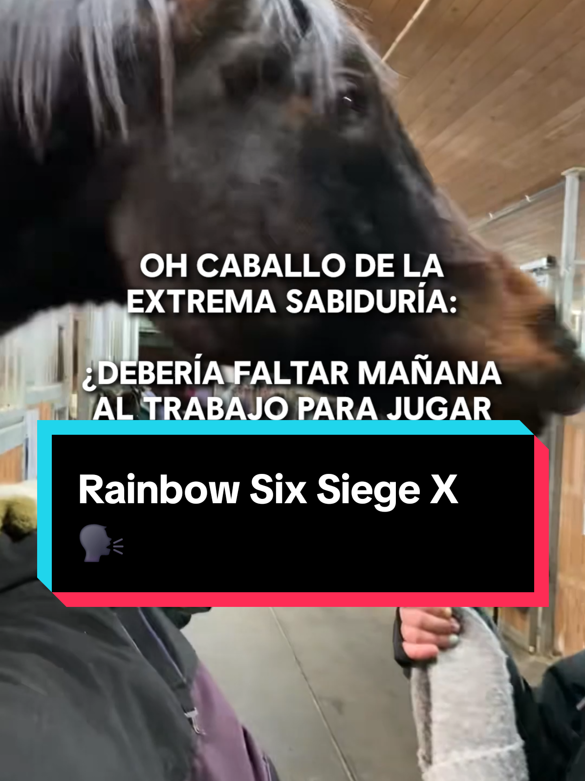 Oh caballo de la extrema sabiduría, por tí no iré está semana al trabajo a partir de mañana, por el estreno de Rainbow Six Siege X 🗣️ #RainbowSixSiege #RainbowSix #UbisoftLatam #Ubisoft #RainbowSixSiegeX 