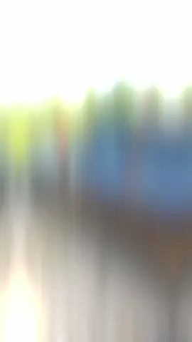 Moj stub nosi moje omiljeno 