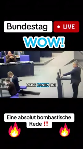 #AfD #💙💙💙 #nurdieafd #Politik - #Theater #bundestag #foryoupage❤️❤️ #fyp #viral_video 