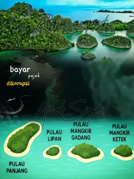 menyala Indonesia emas yg ga' jadi-jadi.  #saverajaampat #acehsingkil #indonesia #papua #papuabarat #aceh #nikel #fy #fyp #fypage #fyppppppppppppppppppppppp #fypシ゚ 
