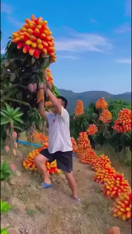 OMG 😱🍀☘️💥🌱🔥#happy#fyp#asmr#fruit#fruits#uk#usa 