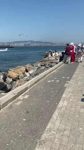 #istanbul #fypシ #like #manzaralı #😌🥀🎻 #büyükada #güzel #yerler 