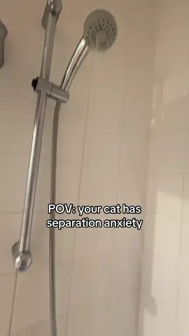 Is the clingyness a blessing or a curse? #clingycat #showercat #separationanxiety #fyp #foryoupage #fyppp 