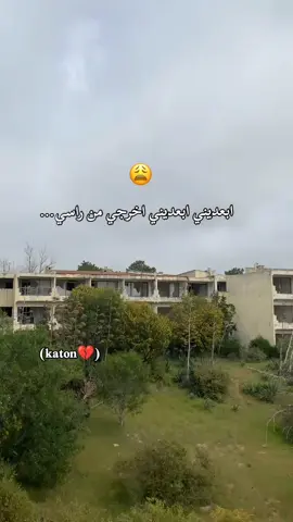 #creatorsearchinsights  #fypp #katon #tunisia🇹🇳 #