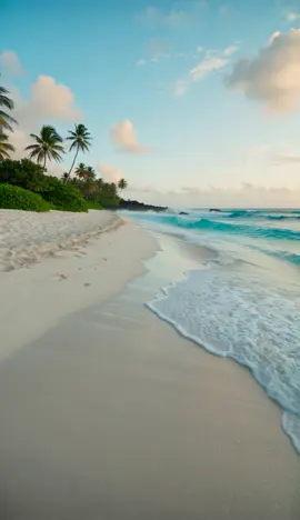new live wallpaper hd 4k 2025 (5)