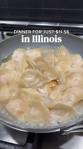 Budget-friendly & delicious dinner idea 🥟 ad These NEW Pork & Cabbage Bite-Size Dumplings from @Synear Foods USA 思念食品 just hit Sam’s Club in Illinois and they’re SO tasty. Perfect for lazy dinners at home!  Go follow their page for updates on in-store demos!  #chicagofoodie #illinois #dumplings #chicagoeats #samclubfinds #weeknightdinner #DinnerIdeas #samsclub 