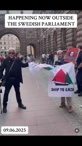 Swedish activists gathers outside of the Swedish parliament to protest the kidnapping of the Freedom Flotilla activists, including Greta Thunberg, by the Izraeli forces #freedomflotilla #madleen #alleyesonmadleen #foruyou #explore #explorepage✨ #fyp #forupageシ #greta #gretathunberg #thiagosilva #rimahassan #sweden #swedish 