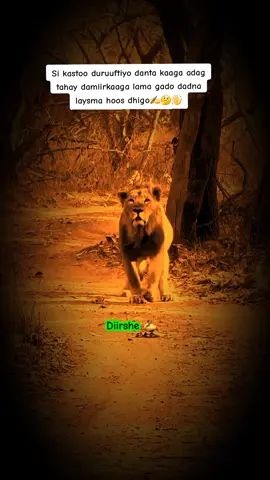 #fyp #fyp #fyp #fyp #fyp #fyp #fyp #fyp #fyp #fyp #viralvideos #viralvideos #viralvideos #viralvideos #viralvideos #viralvideos #viralvideos #viralvideos #viralvideos #viralvideos #cupcut #somalitiktok #viralvideos #fyp 