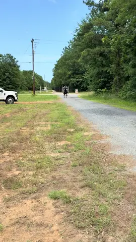 I GOTTA GET SOMEWHERE!!!! #usta #trotter #GLS #rack #buggy #amish #summit #viralreelschallenge #horseriding #horsepower #horseloverfore