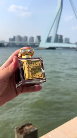 Amber Aoud by Roja Dove is a Oriental Spicy fragrance for women and men. Amber Aoud was launched in 2012. The perfumer behind this perfume is Roja Dove. Top notes are bergamot, lime and lemon; middle notes are rose, fig, ylang-ylang and jasmine; base notes are agarwood (oud), ambergris, saffron, cinnamon, civet, sandalwood, orris root, birch, musk, oakmoss and patchouli.#netherland #rotterdam #rojaparfums #parfum #fyp #fyt 