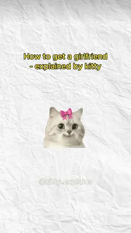 Finding a girlfriend is easy, actually - Kitty explains #cats #girlfriend #catanimation #kittycat #kittyexplains 